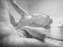 Musei